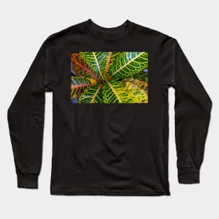 Excelente Rushfoil Croton Long Sleeve T-Shirt